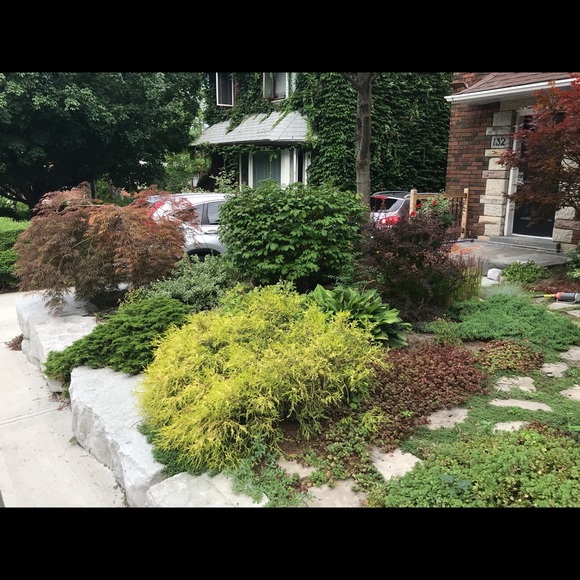 Meet your Posher, Anuradha - Picture 1 of 1